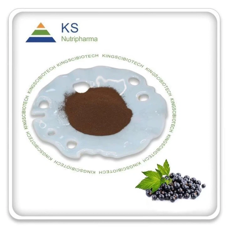 Ekstrakt z czarnej porzeczki