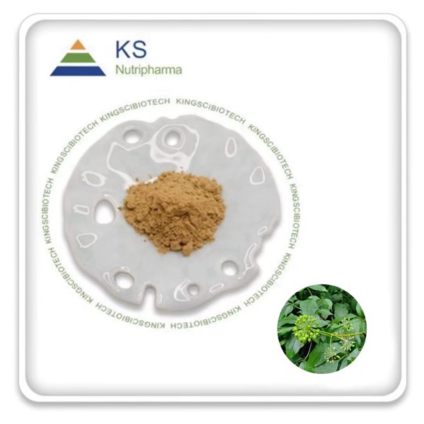 Ekstrakt z Eleutherococcus Nodiflorus